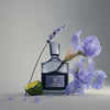 Creed Iris Debonair Luxe Arabia Perfumes